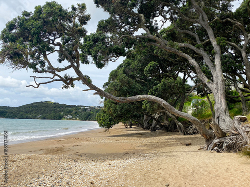 View of CoopersBeach, Whangarei,New Zealand 2023 Mar.12