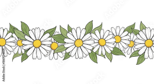 Horizontal Frame Border with White Daisy Flowers and Green Leaves Illustration Isolated on White Background