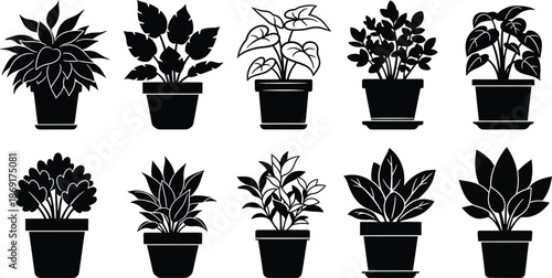 Collection of various potted plants in black silhouette
