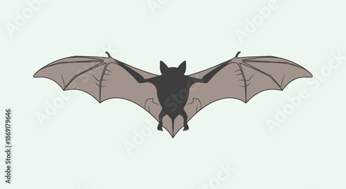Flying Bat Silhouette Isolated on Light Background.
