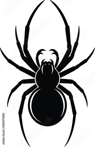 Black widow spider illustration
