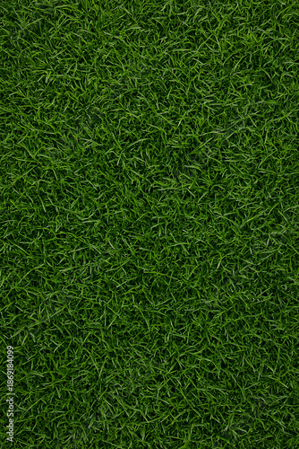 green lawn grass top view angle