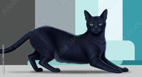 Black Cat Stretching on Floor.