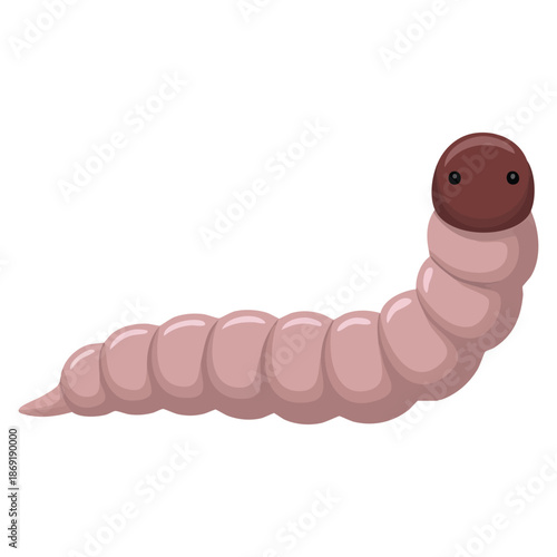 Vector illustration of maggot or larva isolated on white background suitable for biological study insect lifecycle science education and entomology themed visuals