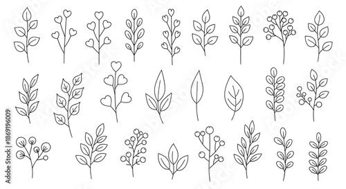 Grid of diverse leaf and berry stem outlines is presented for botanical and nature inspired decorative patterns and design projects.