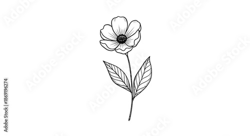 Hand-drawn botanical sketch of a single flower with delicate petals and leaves in a vintage line art style.