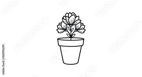 Simple line art illustration of a beautiful flowering plant growing in a terracotta-style pot for coloring fun.