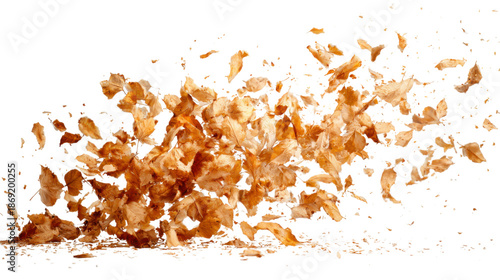 Autumn leaves falling and blowing across a transparent background, creating a seasonal wind effect and dynamic motion