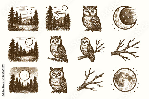 Scene collection creative owl moonlight drawing vector branch icon forest evening