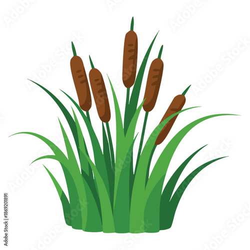 Vector illustration of reeds in green grass isolated ideal for swamp cattails green leaf lake river environment and nature themed decorative artwork