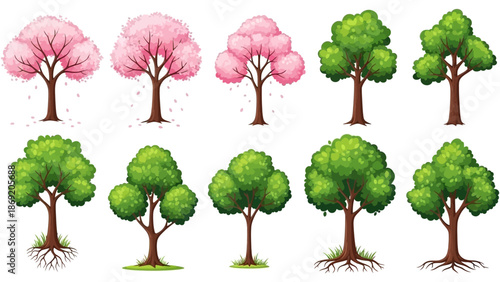 Spring trees vector nature illustration collection with pink blossom sakura, trunks, green crown. Isolated summer season park cartoon floral icon set. Spring trees garden environment logo landscape HD