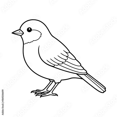 Isolated object on transparent background for design and artistic use