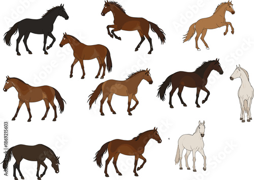Cad drawing flat vector illustration, cartoon horse collection in various poses and colors, animal clipart for design and education