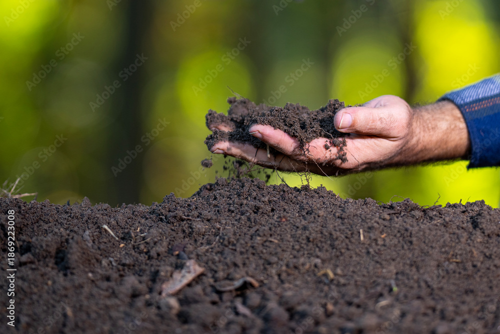 Fototapeta premium Hands hold soil and organic fertilizer. Farming with soil. Farmers hand testing soil. Earth care and melioration. Cultivate land.