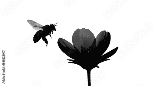 Black silhouette of a butterfly with elegant tribal wings and delicate feathers flying in nature, designed as a vector art symbol of freedom and animal grace