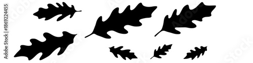 Silhouette of Oak Leaf: A group of silhouettes of oak leaves creating a simple, artistic display, evoking nature's graphic elegance. 