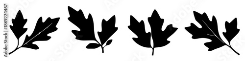 Elegant Leaf Silhouettes: An artistic collection of four meticulously crafted leaf silhouettes, each one a testament to the intricate beauty and form found in the natural world.