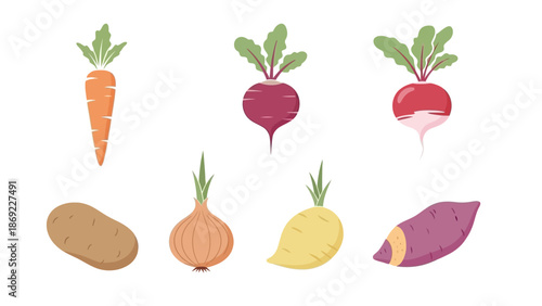 Colorful and Fresh Vegetables A Variety of Root and Stem Vegetables Isolated on White