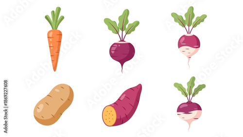 Vibrant Assortment of Root Vegetables Carrot, Beet, Potato, Turnip, and More, Vector Illustration