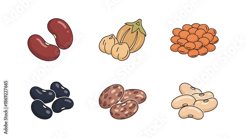 Variety of colorful bean and legume illustrations for healthy food and vegetarian cuisine