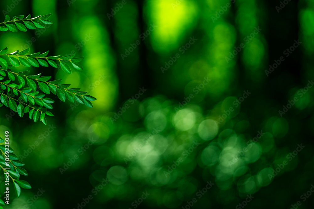 Fototapeta premium Plant green background. Overlay of green leaves with blur forest. Blurred park background. Texture for green nature wallpaper. Greenery for eco. Green nature background. Foliage and lush greenery.