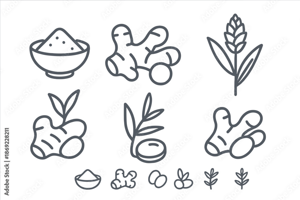 Obraz premium Outline drawings of fresh ginger root, powdered spice, and flowering plant for culinary use
