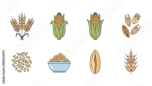 Diverse Illustrations Wheat, Corn, Grains, and Oats in a Colorful, Flat Design