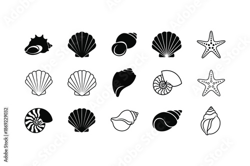 Silhouette of various seashells and starfish on a white background