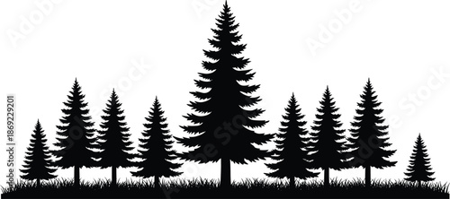 Pine forest silhouette landscape with evergreen trees grass ground nature scene black minimal vector illustration isolated design outdoor woodland graphic