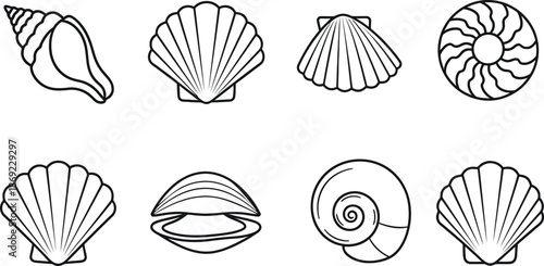 Silhouette of various seashells on a white background