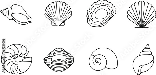 Silhouette of various seashells on a white background