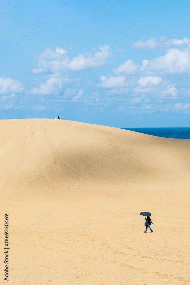 Obraz premium 鳥取砂丘 日本海