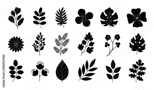 Decorative botanical icon template set black flowers exotic leaves and foliage vector illustration