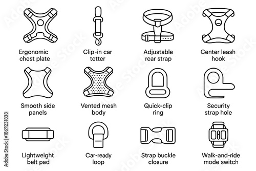 Loop chest leash buckle pet strap vector side tether icon harness ergonomic
