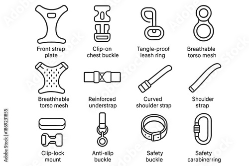 Leash vector reinforced comfort carabiner buckle gear icon collar loop pet pad