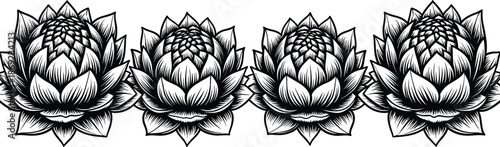 Lotus flower vector illustration set, detailed botanical lotus blossoms in symmetrical row, black and white floral ornament, elegant nature tattoo style design