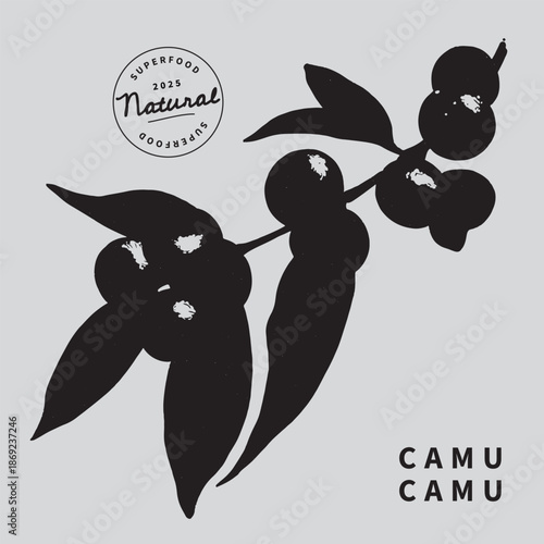 Camu camu plant with leaves vector illustration. Superfood. Minimalist art botanical poster template. Trinket design element.
