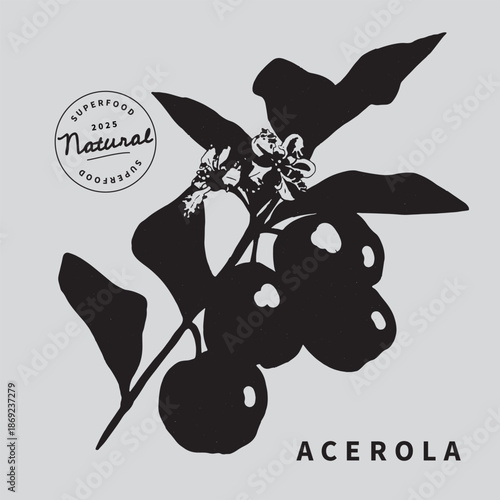 Acerola fruit on a branch vector illustration. Superfood. Minimalist art botanical poster template. Trinket design element.