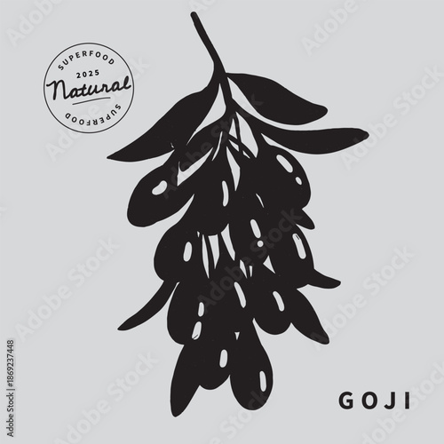 Goji berries on a branch vector illustration. Superfood. Minimalist art botanical poster template. Trinket design element.