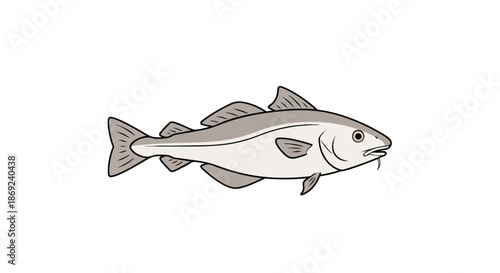 Stylized illustration of a grey aquatic bottom-dweller fish with barbels, swimming calmly on a clean white background, showcasing its unique form