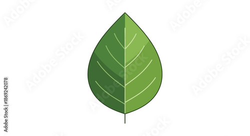 A verdant green leaf, clean graphic design. Symbolizing organic growth, ecological balance, and natural vitality. Perfect for eco-friendly branding
