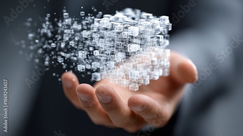 Abstract Cube Structure on Palm Conceptual Business Data Block