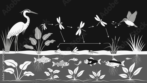 A vibrant close-up photograph featuring a single yellow daisy with a bright orange center captured in sharp detail against a soft green blurred background