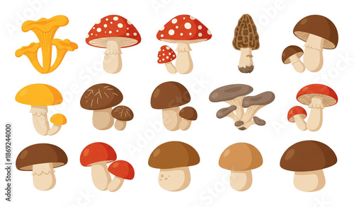 Forest mushrooms cartoon vector set with chanterelle and amanita isolated on transparent background