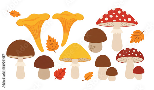 Autumn forest wild mushrooms cartoon clipart vector set isolated on transparent background