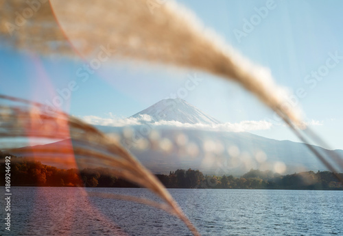 Mount Fuji Through Tall Grass at Sunset