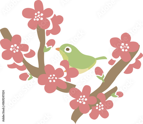 梅の花と枝にメジロやウグイスがいるベクターイラスト透明背景