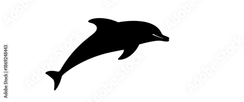 Black dolphin silhouette jumping, isolated on white background. Minimal marine animal illustration symbolizing freedom, ocean life, intelligence, and nature.