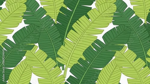 Tropical banana leaves pattern with vibrant green foliage overlapping background.