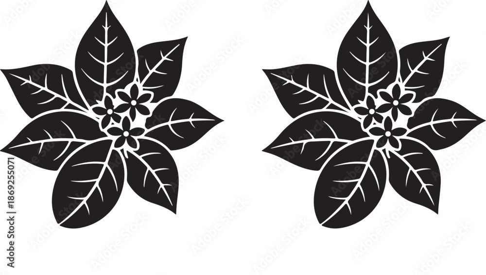 Obraz premium Minimalist Black Floral Silhouettes of Poinsettia Leaves and Blossoms